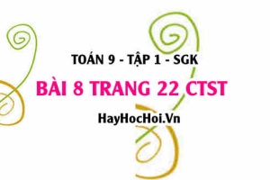 Bài 8 trang 22 Toán 9 tập 1 Chân trời sáng tạo SGK